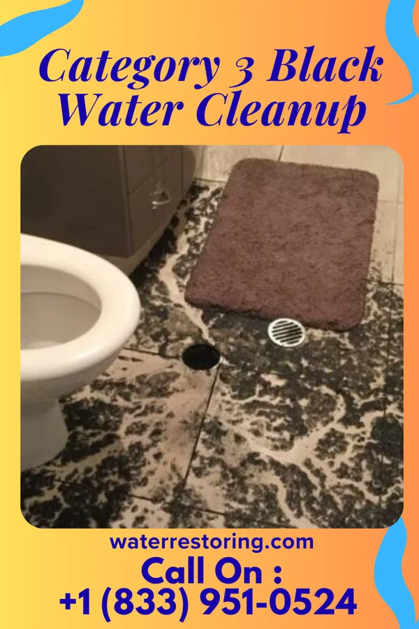 Category 3 Black Water Cleanup in Lincoln Village, OH