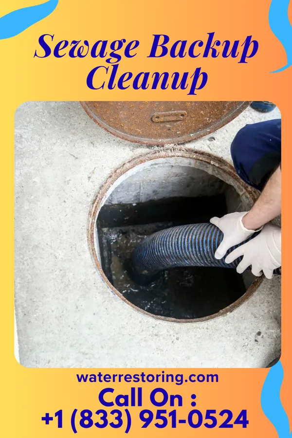 Sewage Backup Cleanup in Lincoln Village, OH